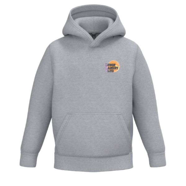 Sweat-shirt gris à capuche Ludon BC